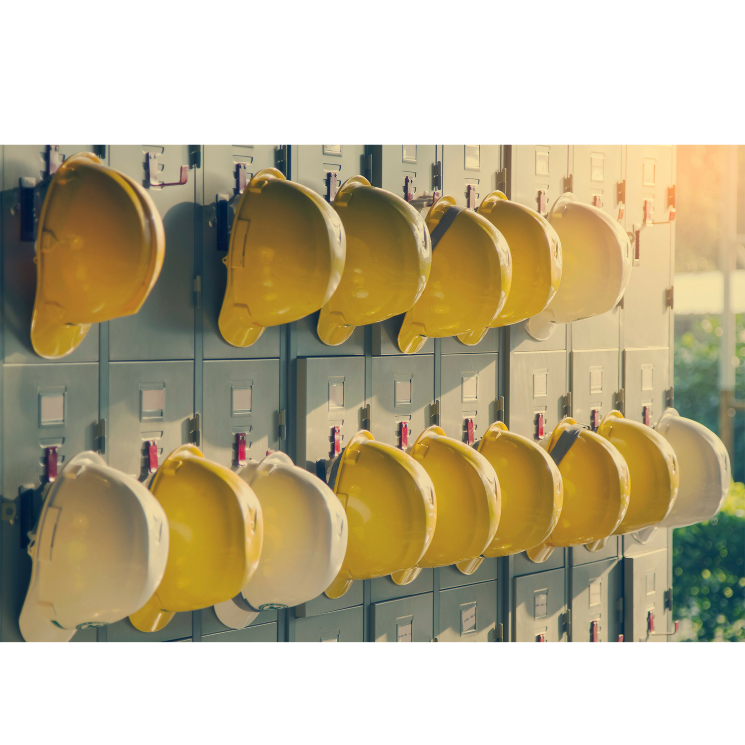 Ontwerp zonder titel.png