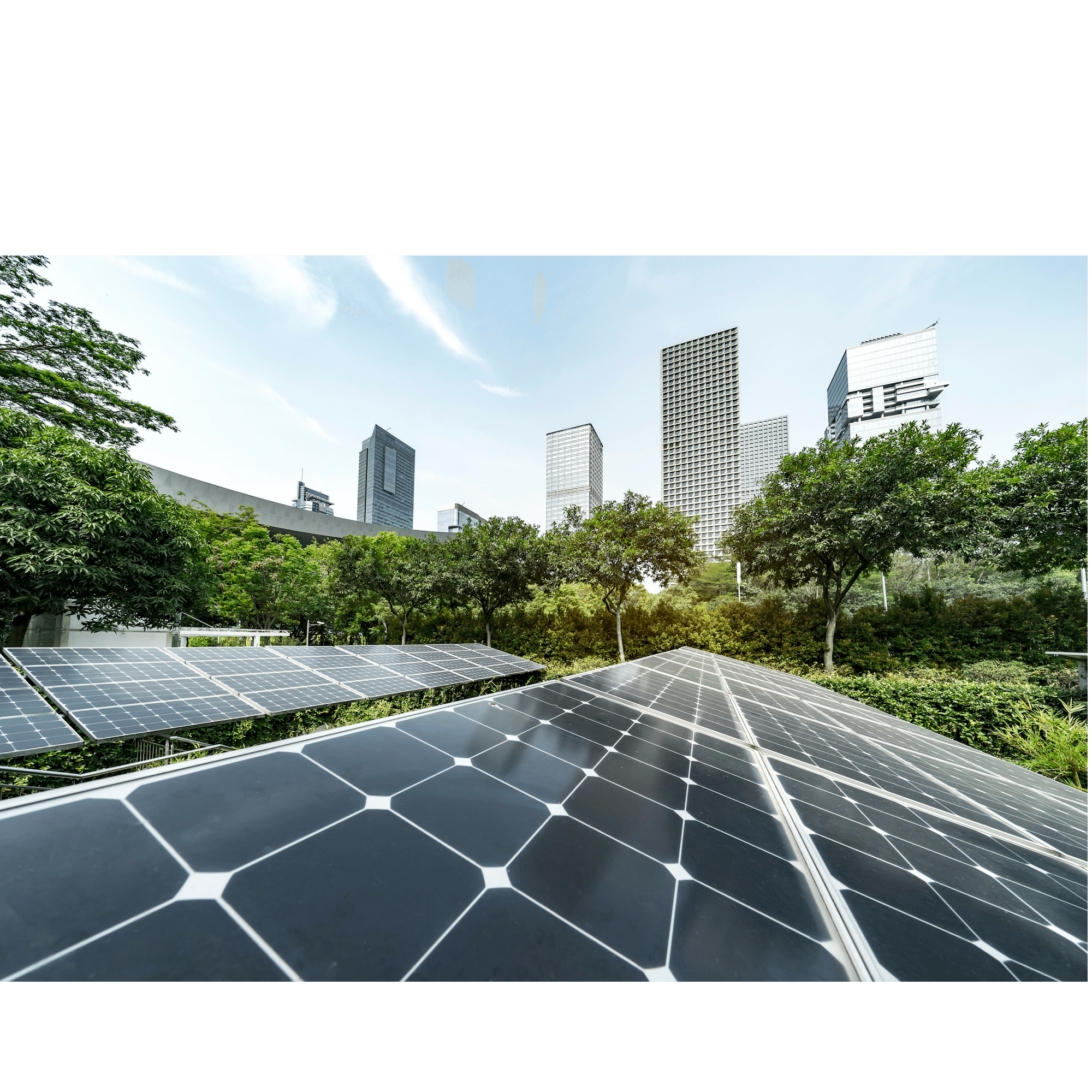 Ontwerp zonder titel (5).png