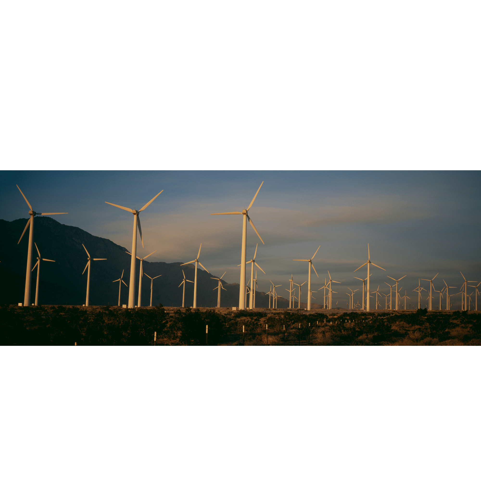 Ontwerp zonder titel (3).png